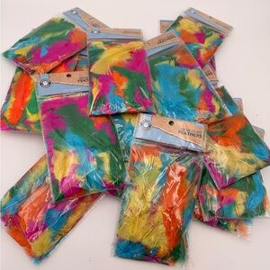 Rainbow Craft Feathers - Vibrant Multicolor Lot - 16 Bags